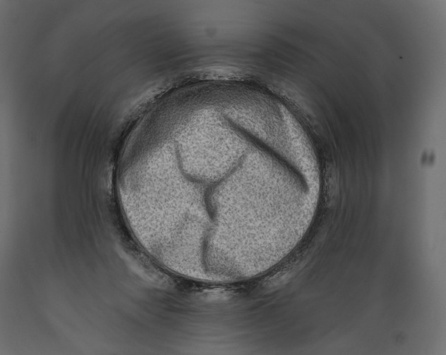 X0000088870310200707061353