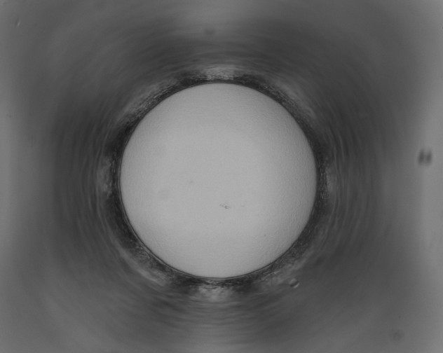 X0000088870311200707061353