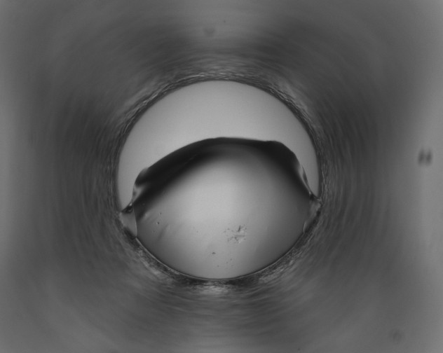 X0000088870313200707061353