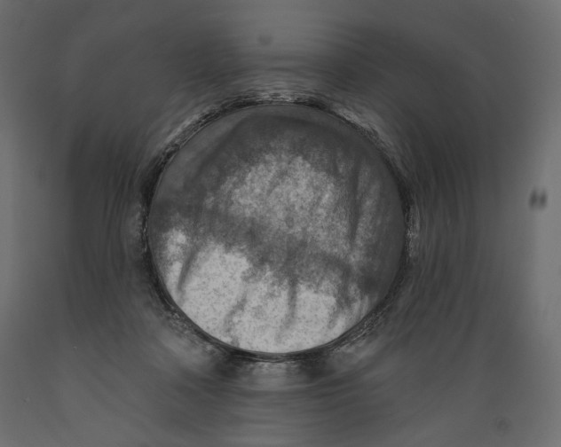 X0000088870314200707061353