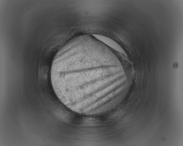 X0000088870315200707061353