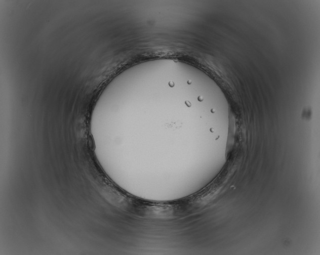 X0000088870317200707061353