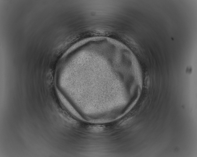 X0000088870318200707061353