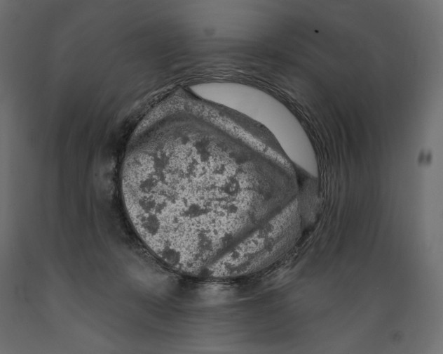 X0000088870319200707061353