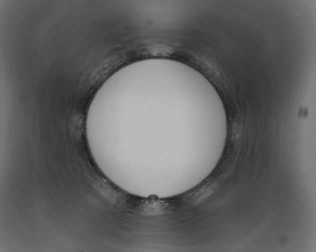 X0000088870321200707061353