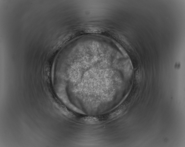 X0000088870322200707061353