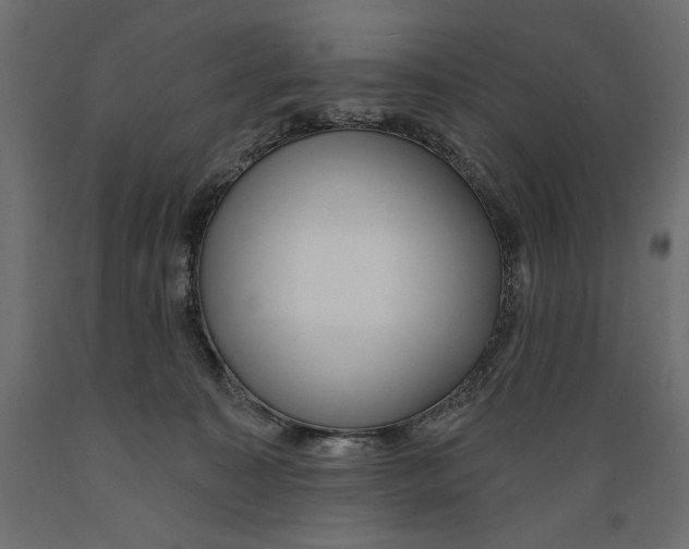 X0000088870323200707061353