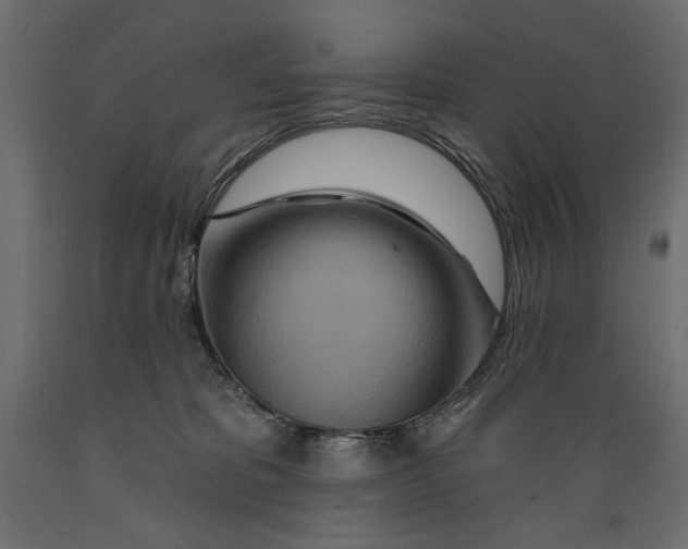 X0000088870325200707061353