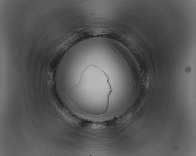 X0000088870327200707061353