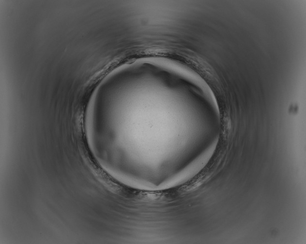 X0000088870329200707061353