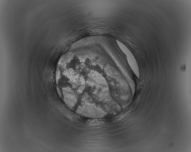 X0000088870331200707061353