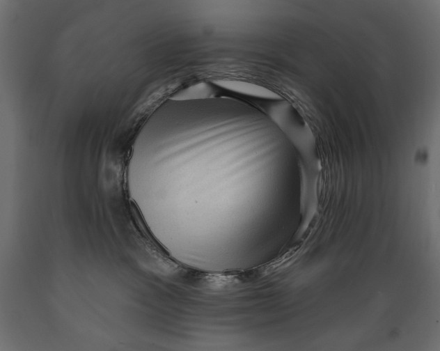 X0000088870333200707061353