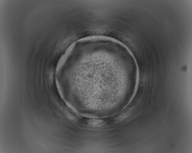 X0000088870334200707061353