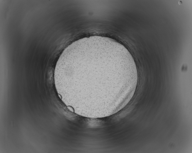 X0000088870336200707061353