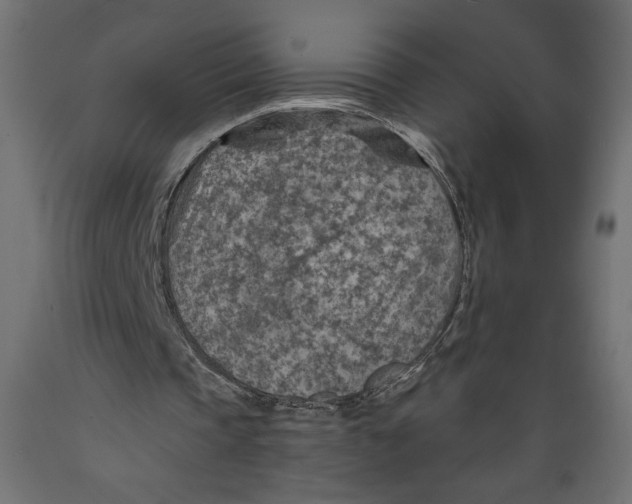 X0000088870337200707061352