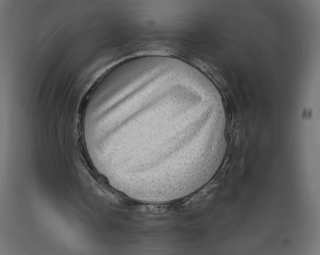 X0000088870338200707061352