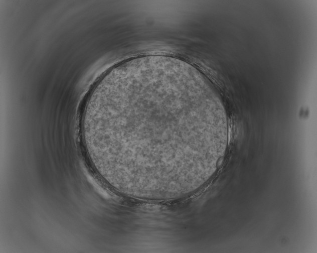 X0000088870339200707061352