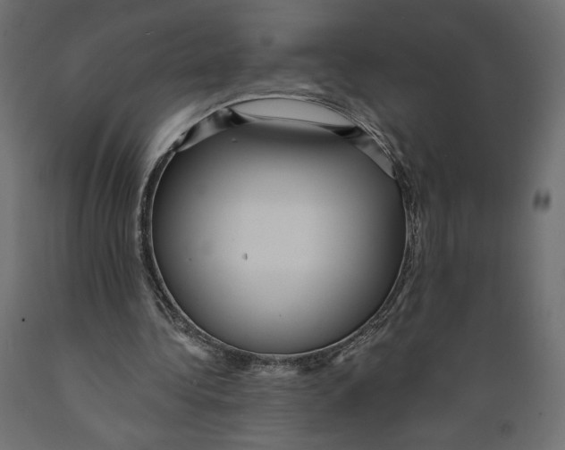 X0000088870340200707061352