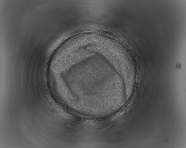 X0000088870341200707061352
