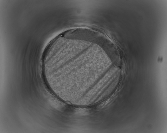 X0000088870342200707061352