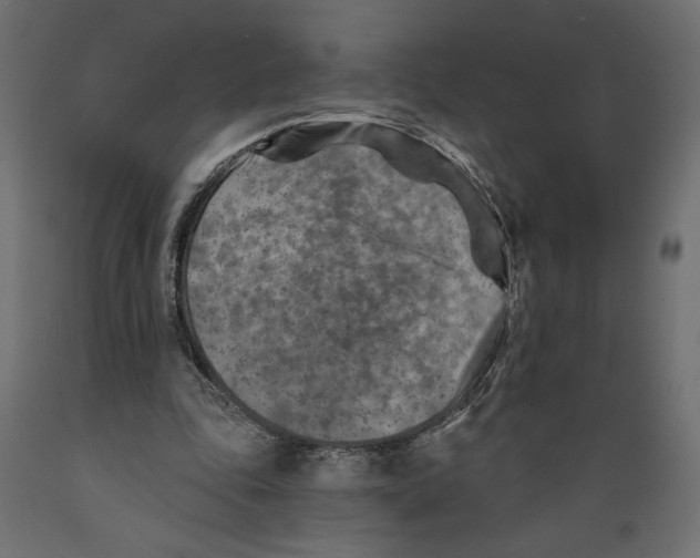 X0000088870343200707061352