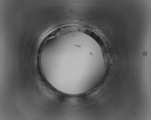 X0000088870344200707061352