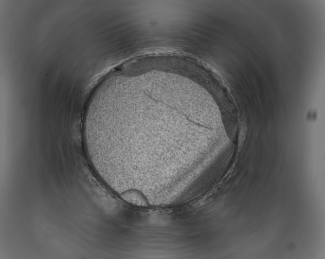 X0000088870345200707061352