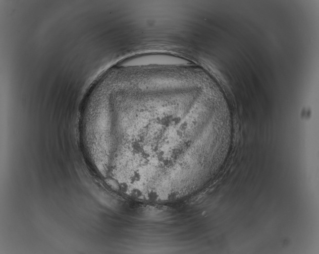 X0000088870346200707061352