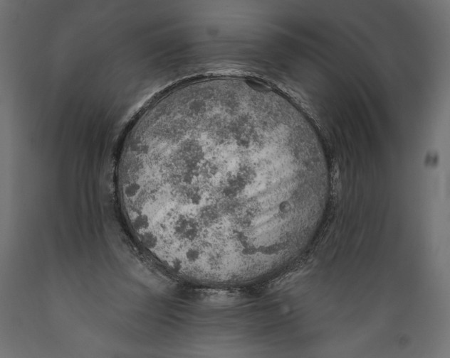 X0000088870347200707061352