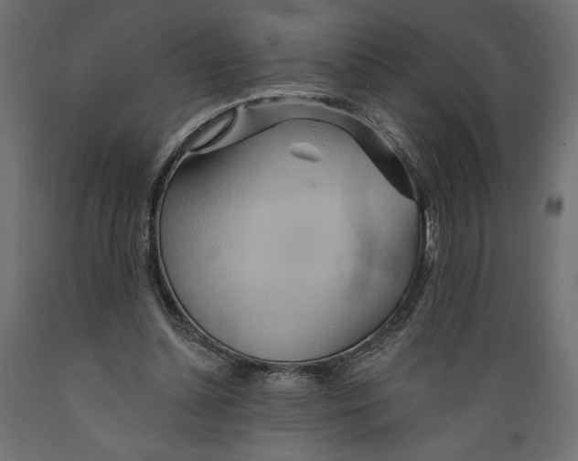 X0000088870348200707061352
