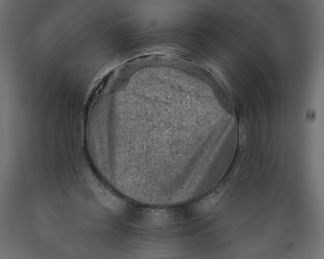 X0000088870349200707061352