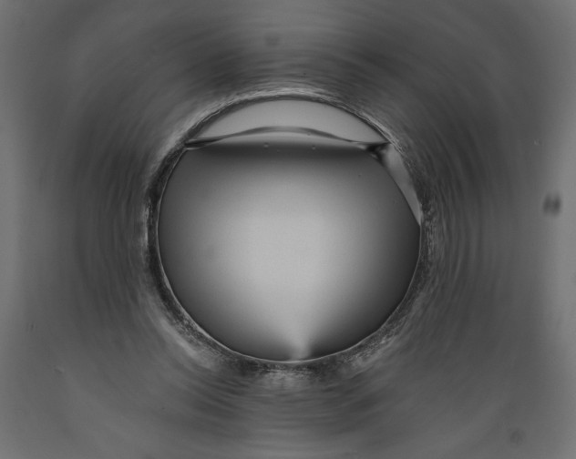 X0000088870350200707061352