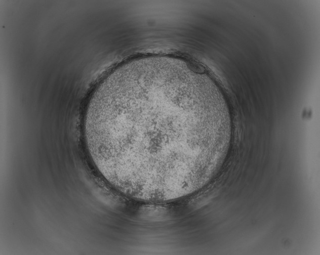X0000088870354200707061352