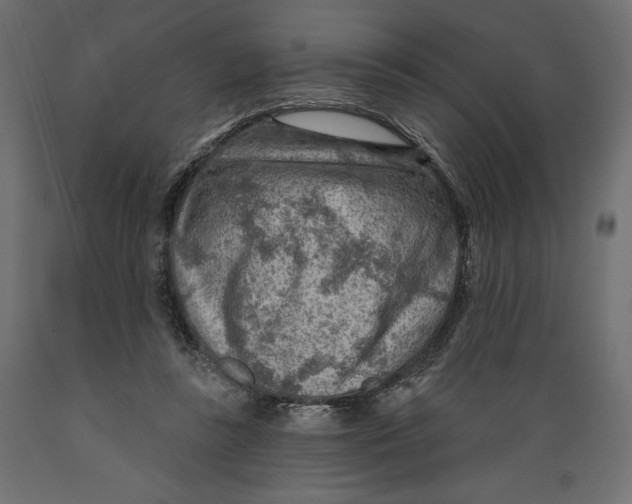 X0000088870355200707061352