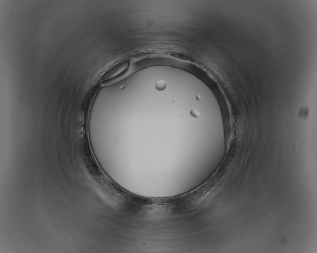 X0000088870356200707061352
