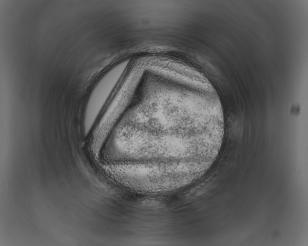 X0000088870358200707061352