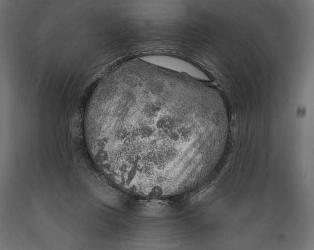 X0000088870359200707061352
