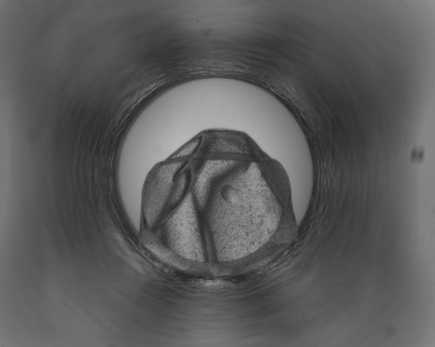 X0000088870360200707061352