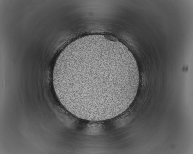 X0000088870362200707061352