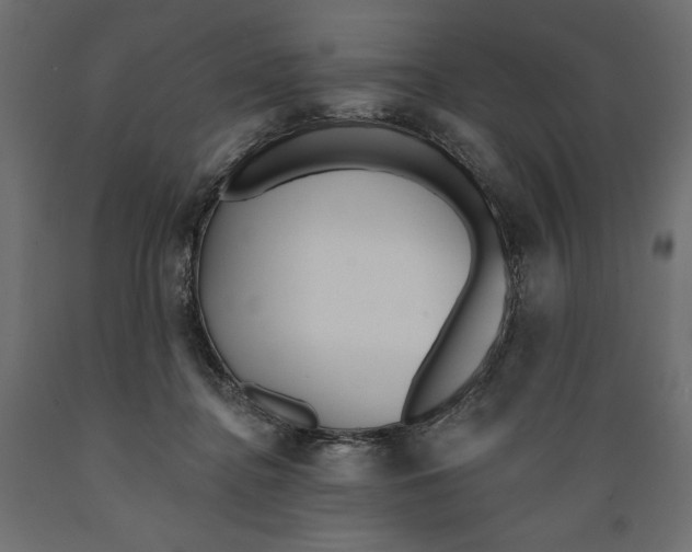 X0000088870364200707061352