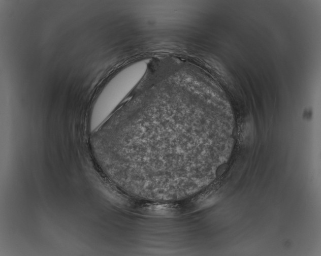 X0000088870365200707061352