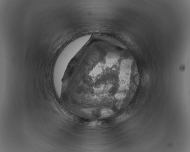 X0000088870366200707061352