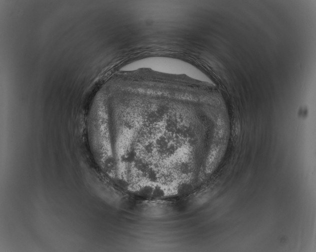X0000088870367200707061352