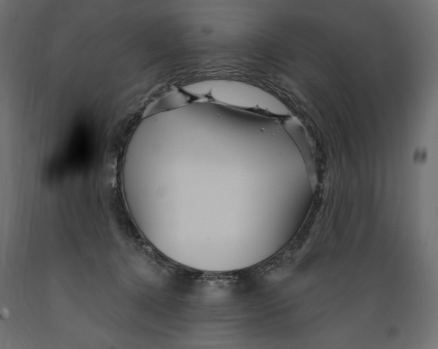 X0000088870368200707061352