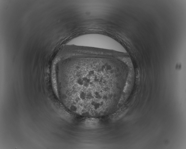 X0000088870369200707061352