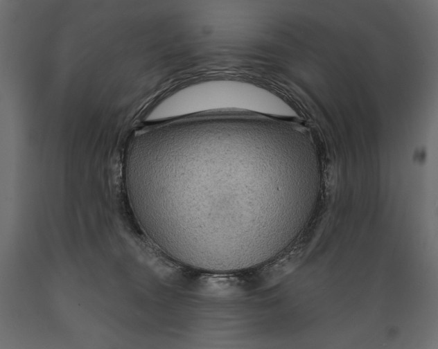 X0000088870372200707061352