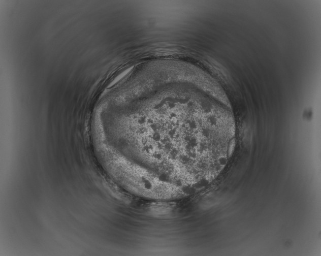 X0000088870373200707061352