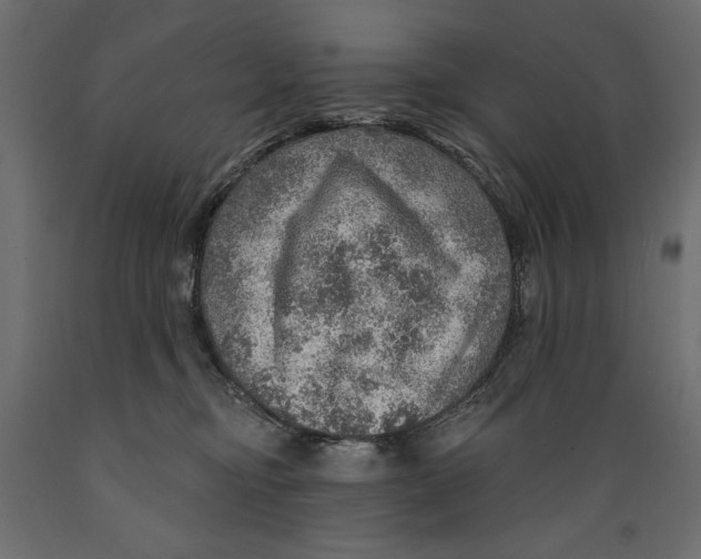 X0000088870374200707061352