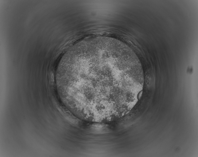 X0000088870375200707061353