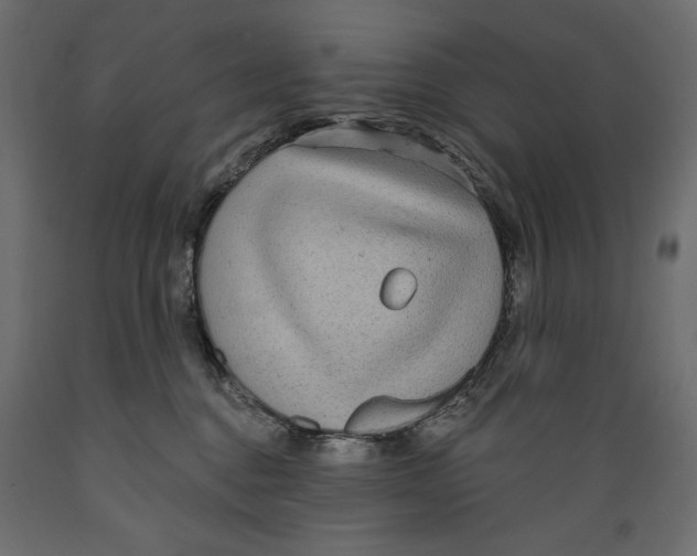 X0000088870376200707061353